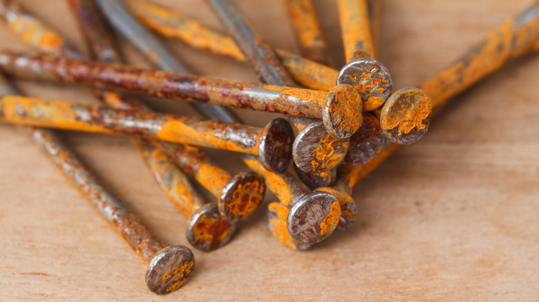 Pile of rusty nails