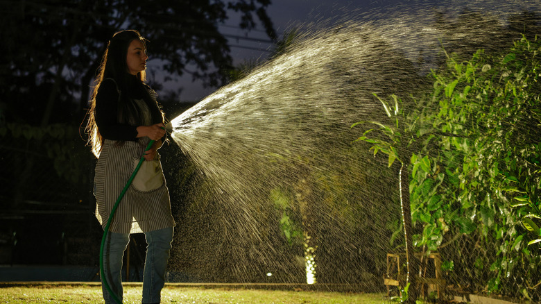 Woman watering garden at night