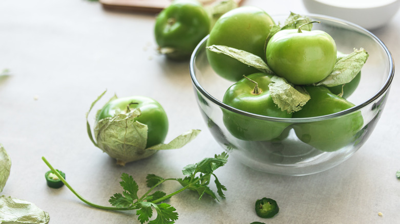 tomatillos, jalapenos, and cilantro