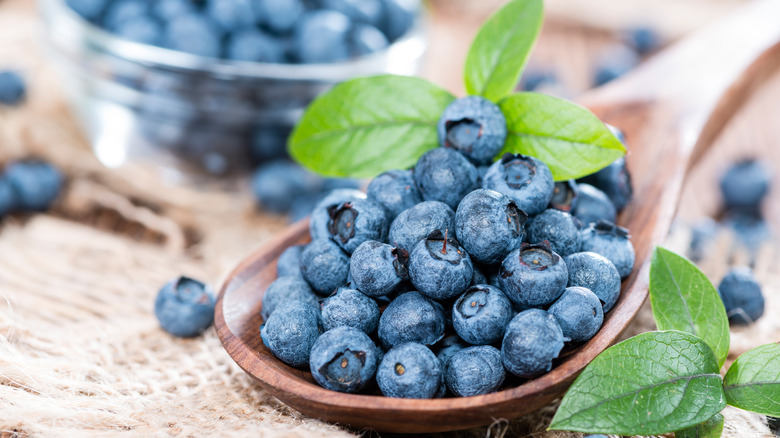 wooden spoon holding fresh blueberries