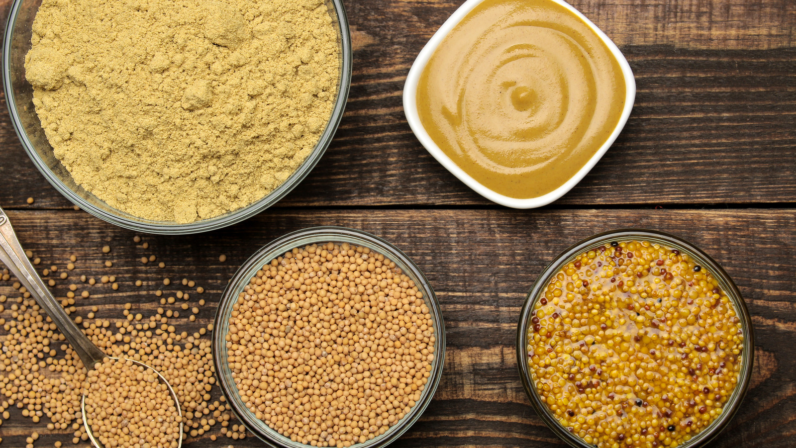 A Guide To All The Different Kinds Of Mustard a-guide-to-all-the-different-kinds-of-mustard