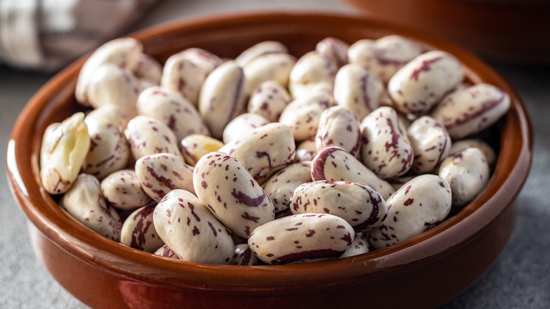 close up of borlotti beans