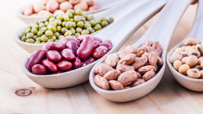 selection of beans on ceramic spoons