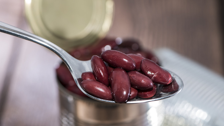 Spoonful of red kidney beans in front of open can