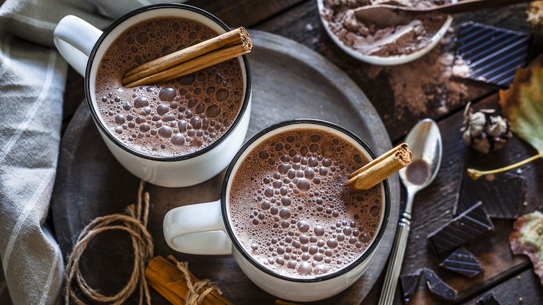 frothy hot chocolate with cinnamon stick garnish