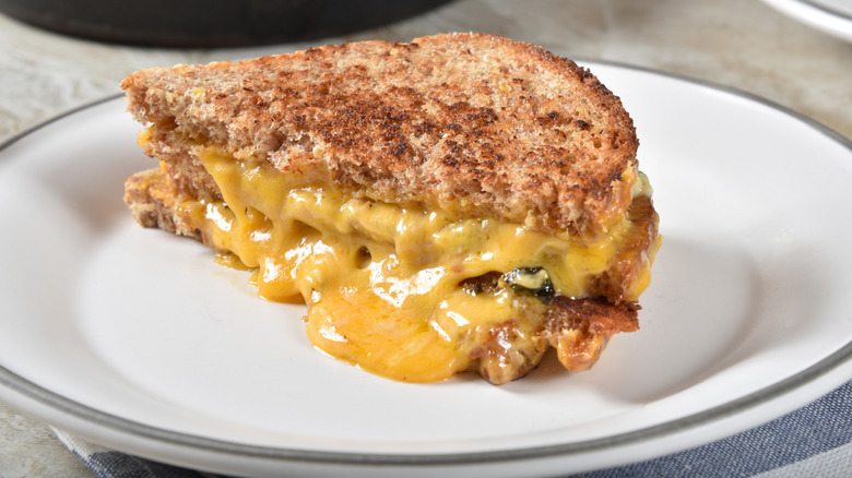 Grilled cheese on multi-grain bread