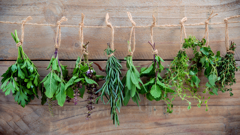 Various herbs hanging from twine