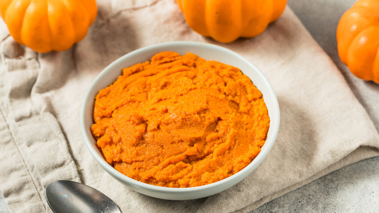 Orange pumpkin puree in a white bowl with small pumpkins in the background