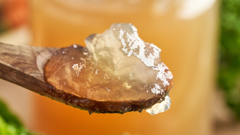 A wooden spoonful of jellied beef broth.