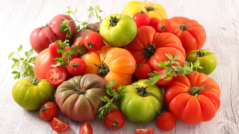 Tomato varieties 