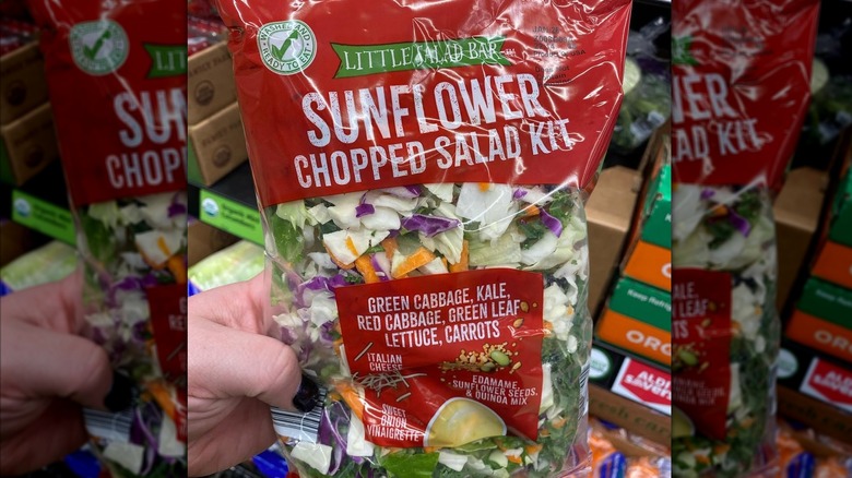 Hand holding bag of Little Salad Bar Sunflower Chopped Salad Kit