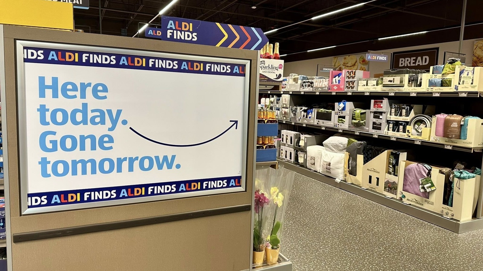 <a href="https://www.foodrepublic.com/2122249/aldi-manual-food-chopper-kitchen-tool/" target="_blank">The Handy Aldi Kitchen Gadget That Chops Food With Ease</a>