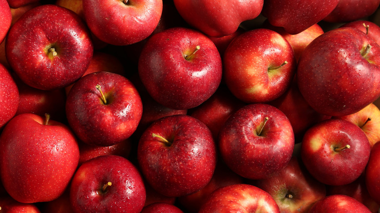 Group of red apples
