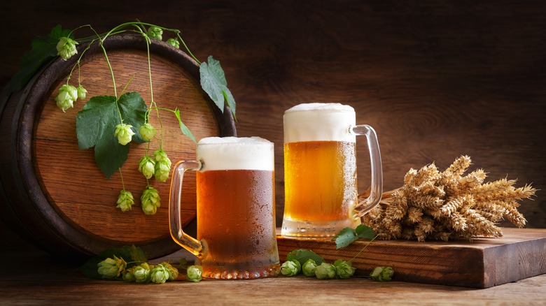 two full beer mugs on table with a keg, wheat, and hops