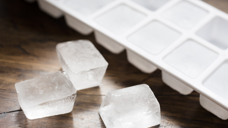 Tray of ice cubes