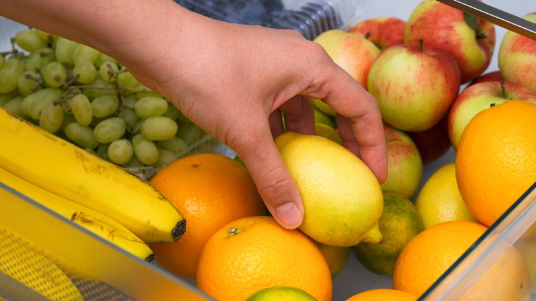person lifting lemon from fridge