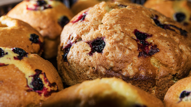 Large blueberry muffin tops