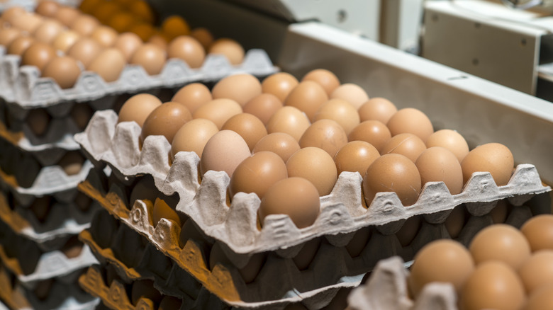 Stacked eggs in cartons.
