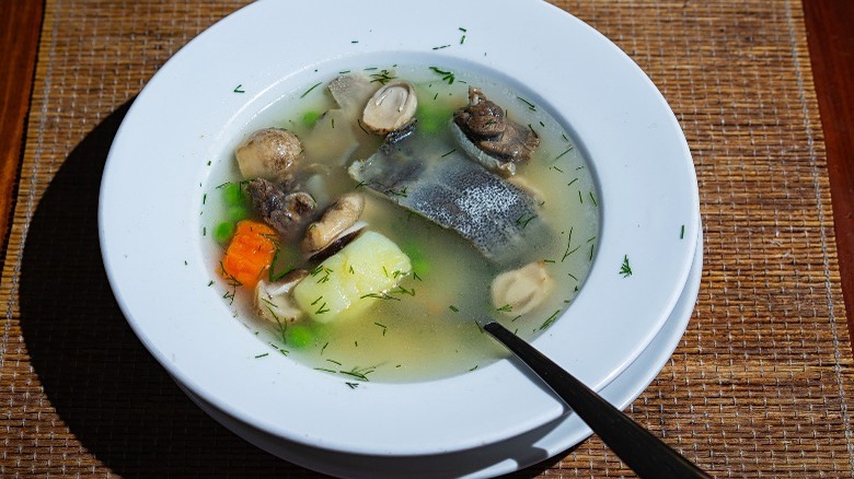 Turtle soup with vegetables