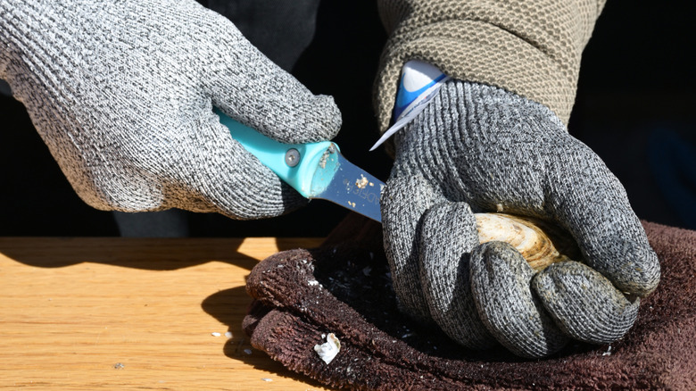 Close up of chef shucking an oyster