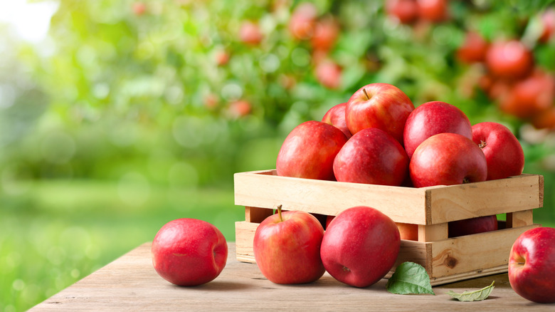 A batch of apples in a crate.