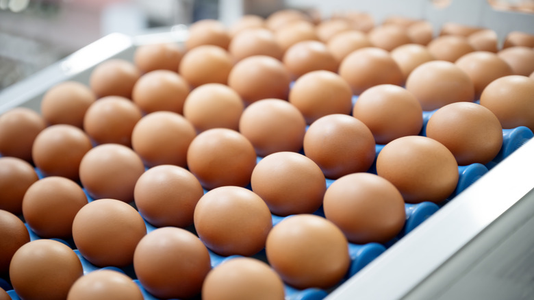A large tray of brown eggs in long term storage