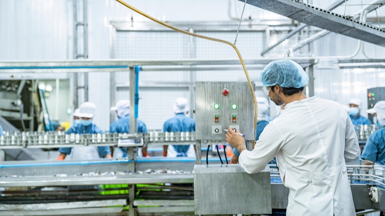 Food processing plant supervisor examines industrial control systems
