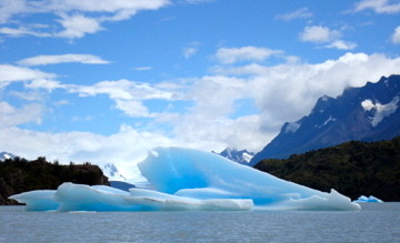 Glacière Iceberg 8L