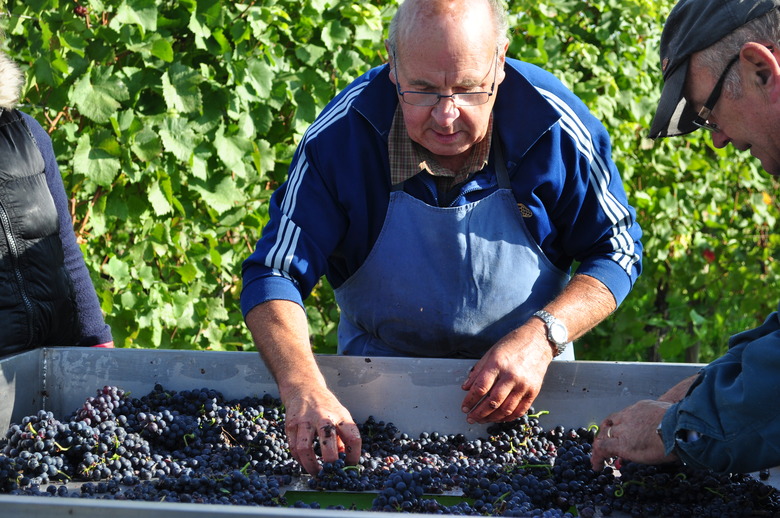 Around The World In 80 Wine Varietals: Pinot Noir