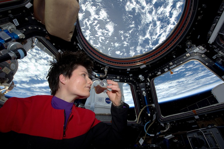 ISS-43_Samantha_Cristoforetti_drinks_coffee_in_the_Cupola