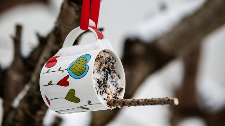 Coffee mug bird feeder hanging from tree