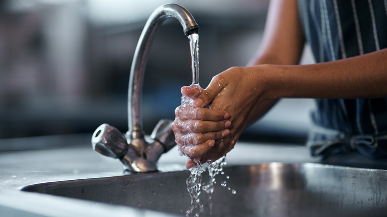 Person washing hands in a kitchen sink