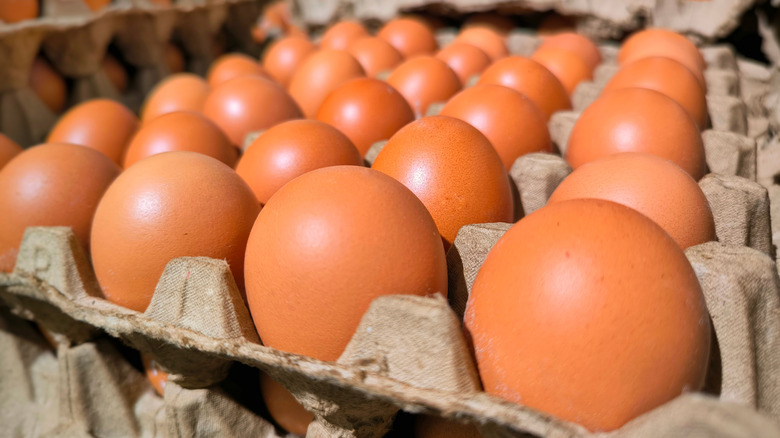 Close-up photo of eggs neatly stacked in a carton tray.
