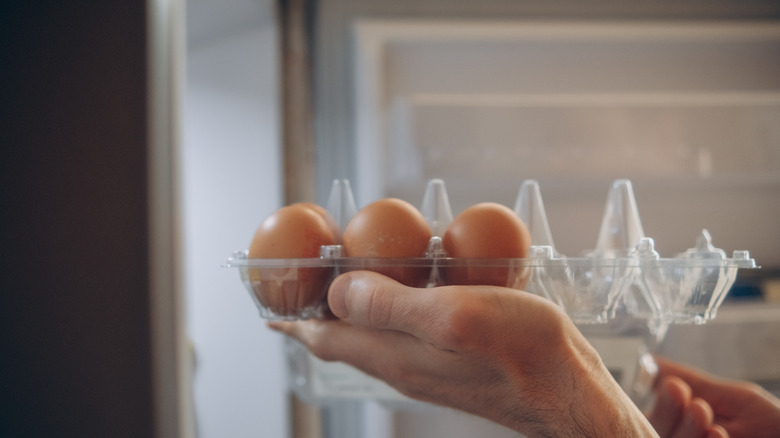 Hand holding eggs in plastic carton