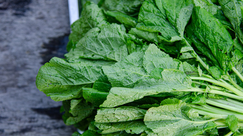 Bunches of fresh mustard greens sit on top of each other