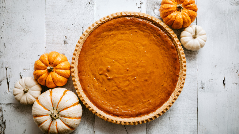 cooked pumpkin pie surrounded by mini pumpkins