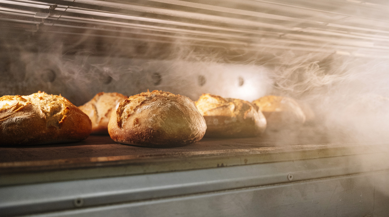 <a href="https://www.foodrepublic.com/1810488/when-not-to-open-oven-baking-bread/" target="_blank">Baking Bread? When You Should Definitely Avoid Opening Your Oven</a>