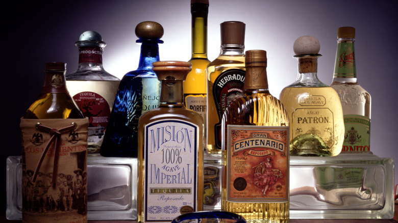 Multiple brands of tequila bottles