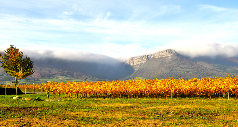 Basque Case: Txakoli Wines Are Ideal Sippers For This Time Of Year