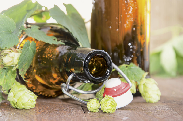 Beer Geekery: 13 Things You Probably Never Knew About Hops