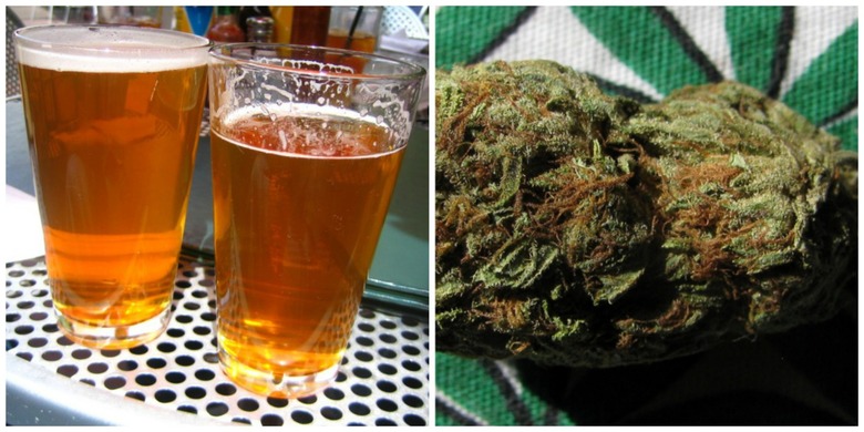 beerweed