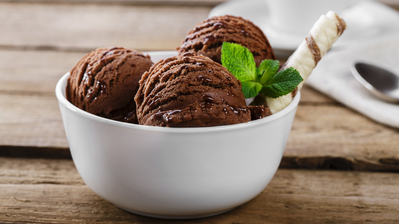 Scoops of rich chocolate ice cream, strewn with fudge, sit with fresh mint and a rolled wafer cookie in a bowl