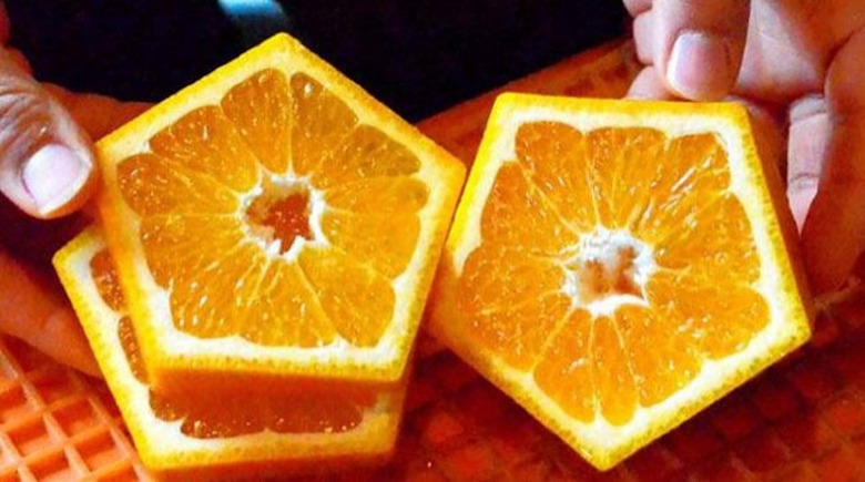 Bespoke Fruit: 5-Sided Oranges Are A Thing