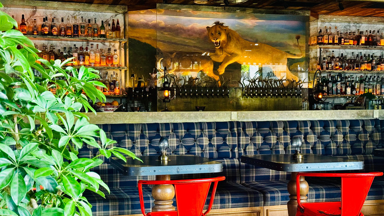 The bar at Craft and Commerce gastropub, showing taxidermy animals and liquor bottles.
