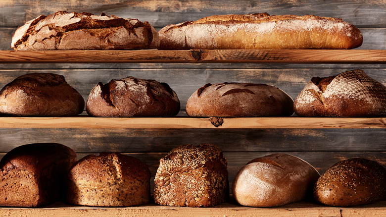 Assorted loaves of fresh bread on shelves