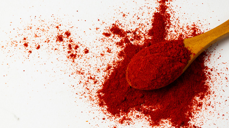 Wooden spoon of paprika with powder splattered around the edges