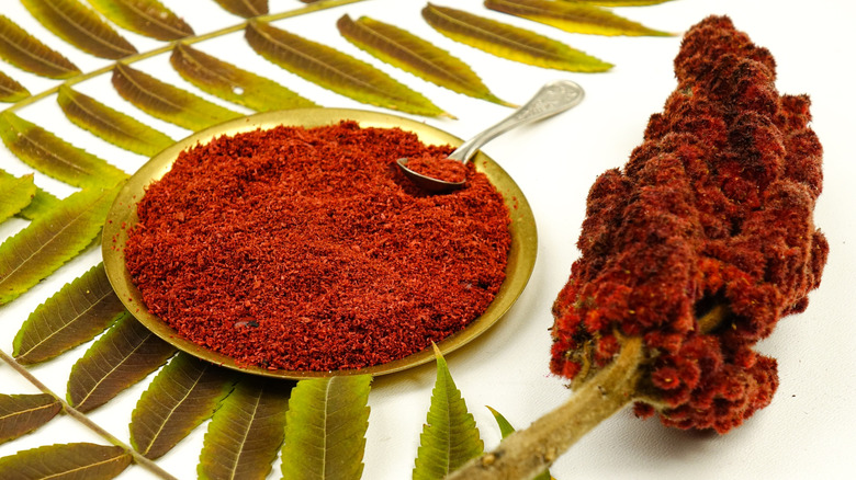 Sumac flower and leaves with a dish of dried sumac seasoning
