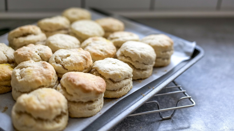 Biscuits on a cookie sheet
