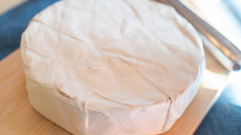 Close up of brie cheese