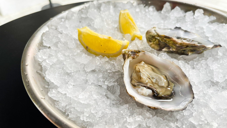 Fresh opened oysters